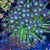 Goniopora