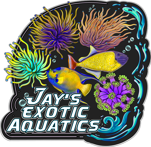 jaysexoticaquatics